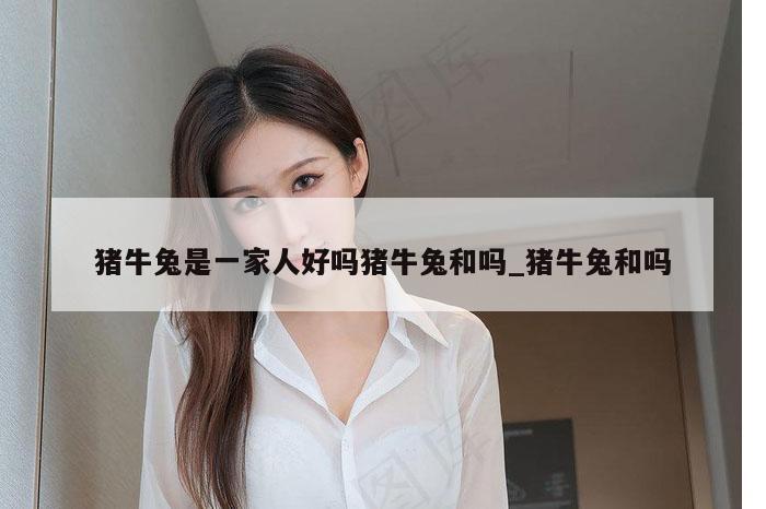 猪牛兔是一家人好吗猪牛兔和吗_猪牛兔和吗